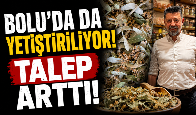 Bolu'da da yetiştiriliyor! Talep Arttı!