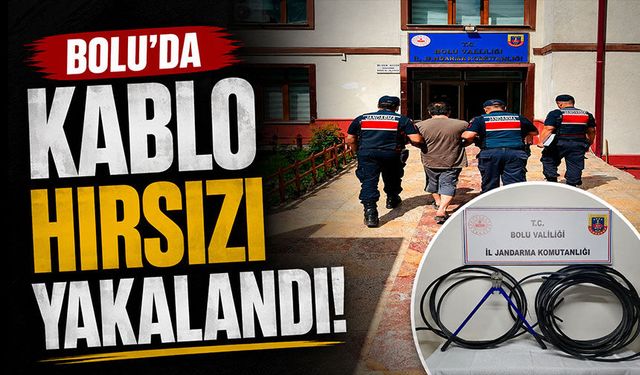 Bolu'da kablo hırsızı yakalandı