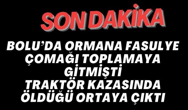 BOLU’DA ORMANA FASULYE ÇOMAĞI TOPLAMAYA GİTMİŞTİ