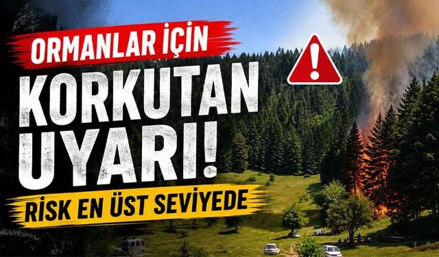 Orman Genel Müdürlüğü'nden Kritik Uyarı: Yangın Riski En Üst Seviyede