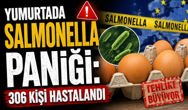 Yumurtada Salmonella Paniği: 306 Kişi Hastalandı