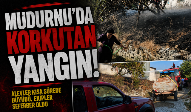 Mudurnu'da korkutan yangın