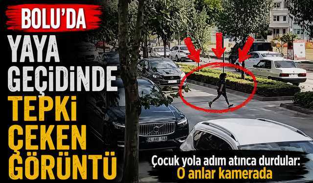 Bolu’da yaya geçidinde tepki çeken görüntü