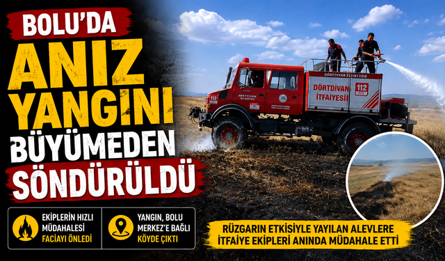 Bolu’da anız yangını büyümeden söndürüldü