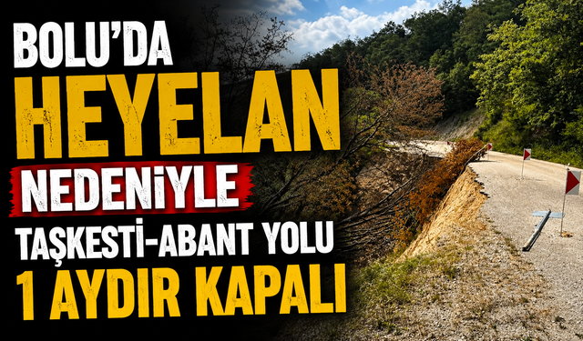 Bolu'da heyelan nedeniyle Taşkesti-Abant yolu 1 aydır kapalı