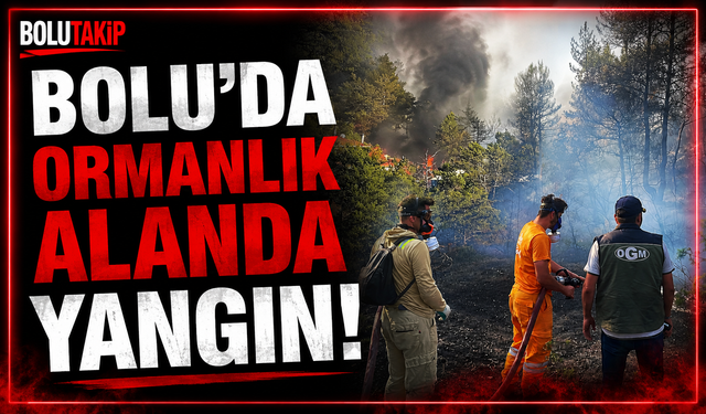 Bolu’da ormanlık alanda yangın