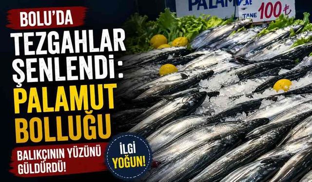 Bolu’da Tezgâhlar Şenlendi: Palamut Bolluğu Balıkçının Yüzünü Güldürdü!
