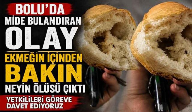 Bolu'da mide bulandıran olay! Ekmeğin içinden ölü hamam böcekleri çıktı