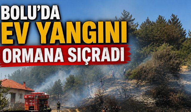 Bolu’da ev yangını ormana sıçradı