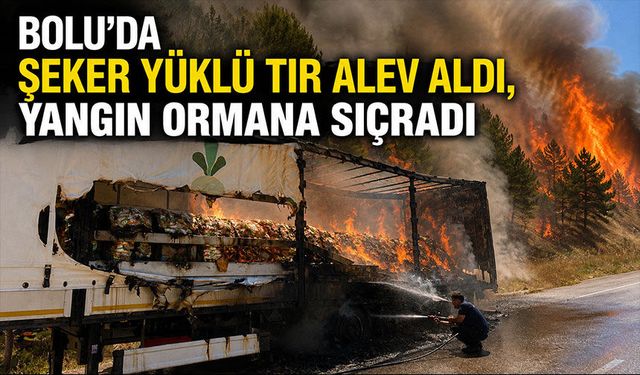 Bolu’da şeker yüklü tır alev aldı, yangın ormana sıçradı