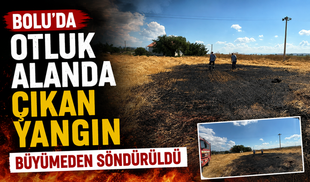 Bolu'da otluk alanda çıkan yangın büyümeden söndürüldü