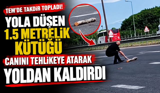 TEM'e düşen 1.5 metrelik kütüğü canını tehlikeye atarak yoldan kaldırdı
