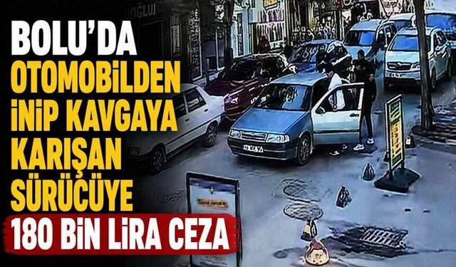 Bolu'da otomobilden inip kavgaya karışan sürücüye 180 bin lira ceza