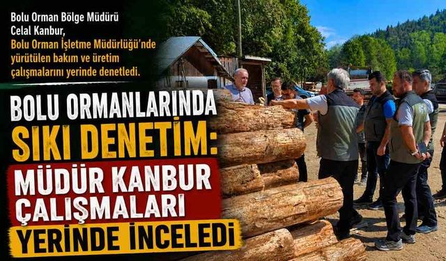 Bolu Ormanlarında Sıkı Denetim: Müdür Kanbur Çalışmaları Yerinde İnceledi