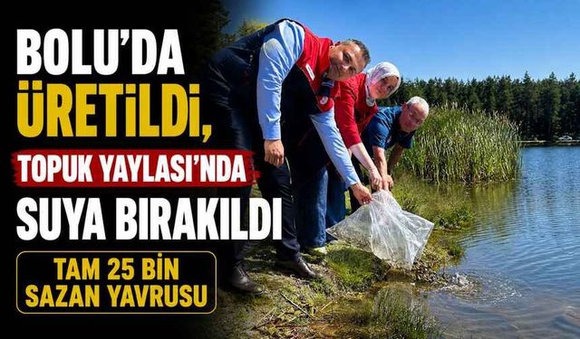 Bolu’da Üretildi, Topuk Yaylası’nda Suya Bırakıldı