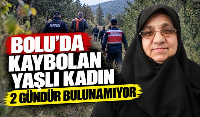 Bolu'da kaybolan yaşlı kadın 2 gündür bulunamıyor