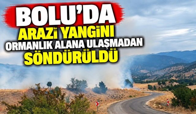 Bolu’da arazi yangını ormanlık alana ulaşmadan söndürüldü