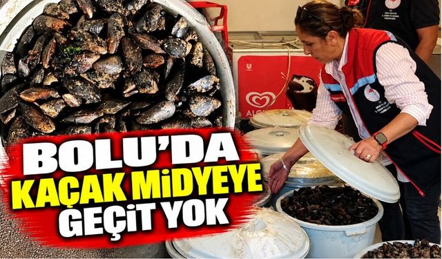 Bolu’da Kaçak Midyeye Geçit Yok