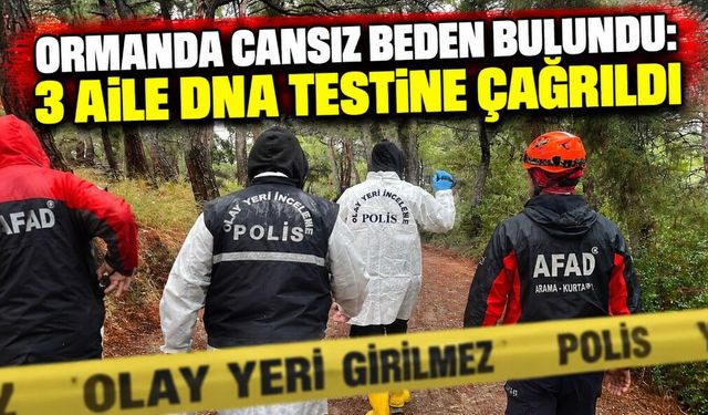 Ormanı’nda Cansız Beden Bulundu: 3 Aile DNA Testine Çağrıldı
