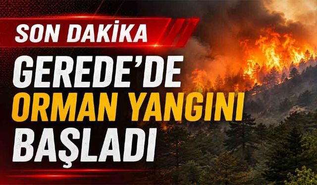 Gerede'de orman yangını başladı