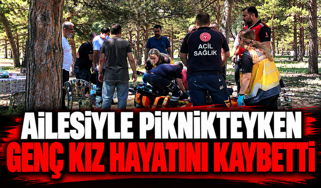 Ailesiyle piknikteyken genç kız hayatını kaybetti