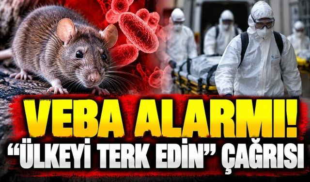 Veba alarmı! "Ülkeyi terk edin" çağrısı