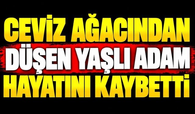 Ceviz ağacından düşen yaşlı adam hayatını kaybetti