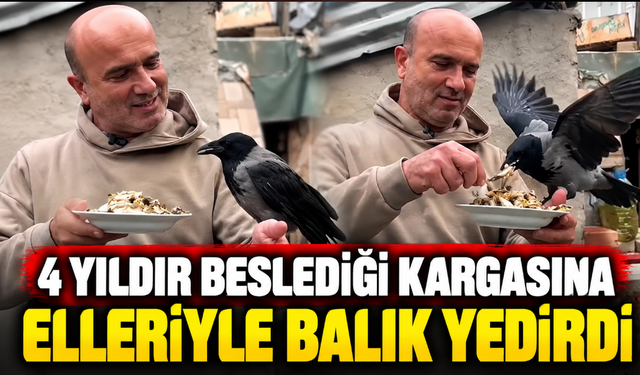 4 yıldır beslediği kargasına elleriyle balık yedirdi