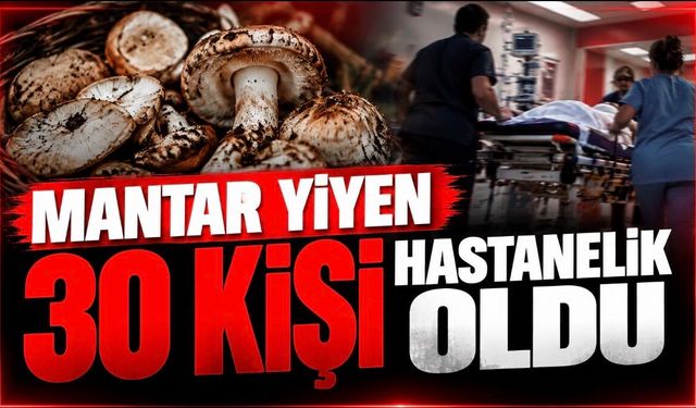 Mantar yiyen 30 kişi hastanelik oldu