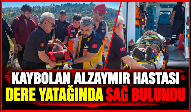 Kaybolan alzaymır hastası, dere yatağında sağ bulundu