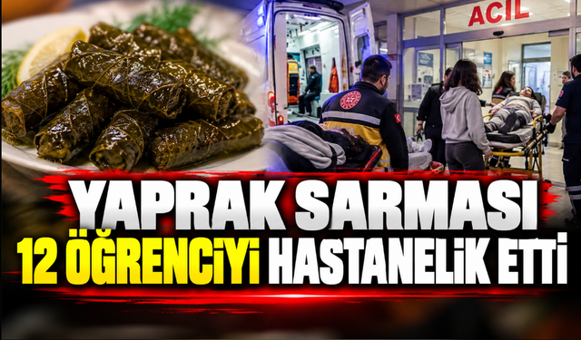 Yaprak sarması 12 öğrenciyi hastanelik etti