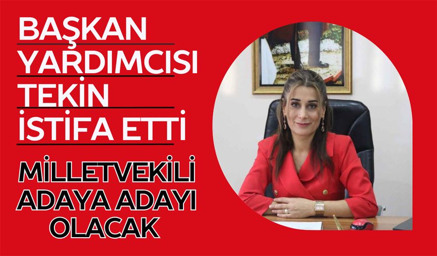 BAŞKAN YARDIMCISI TEKİN İSTİFA ETTİ