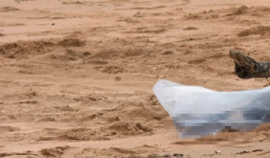 Alanya sahilinde belden yukarısı olmayan kız çocuğu cesedi bulundu
