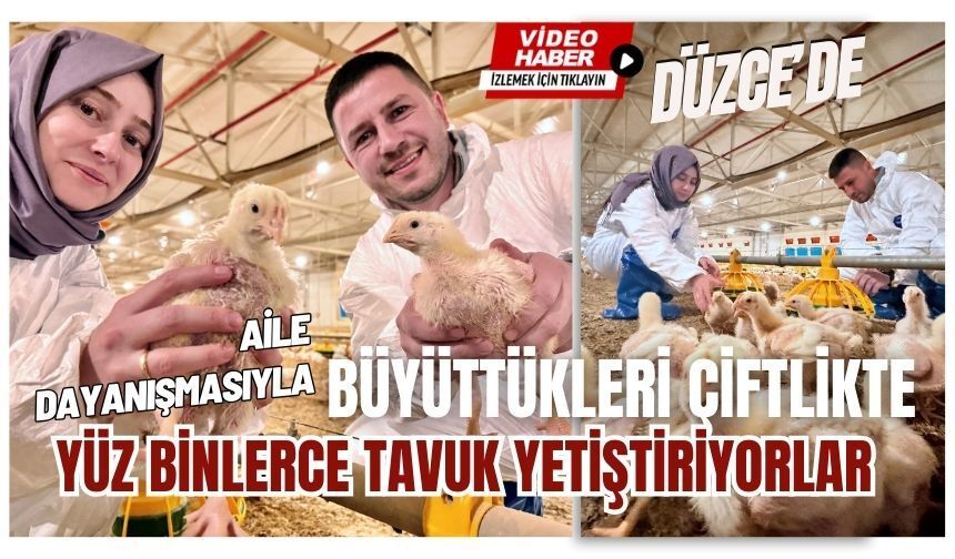 Aile dayanışmasıyla büyüttükleri çiftlikte yüz binlerce tavuk yetiştiriyorlar