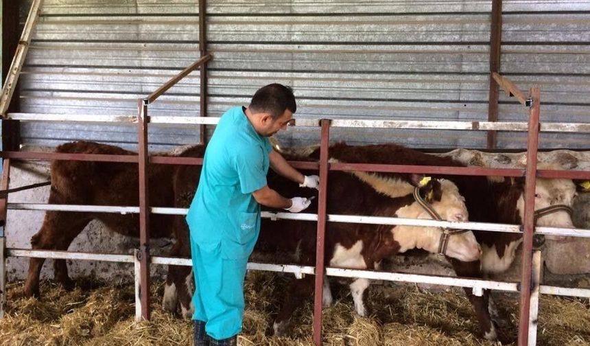 Bu yıl 3 kez yapılacak