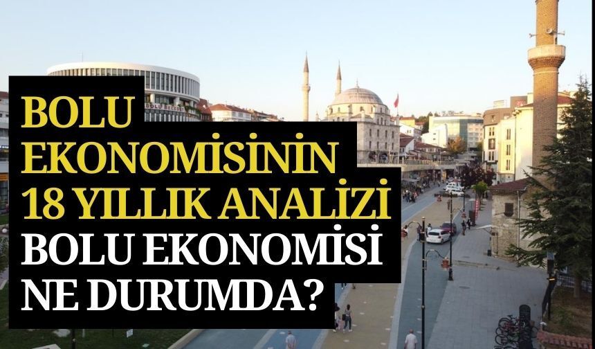 Bolu ekonomisinin 18 yıllık analizi, Bolu ekonomisi ne durumda?