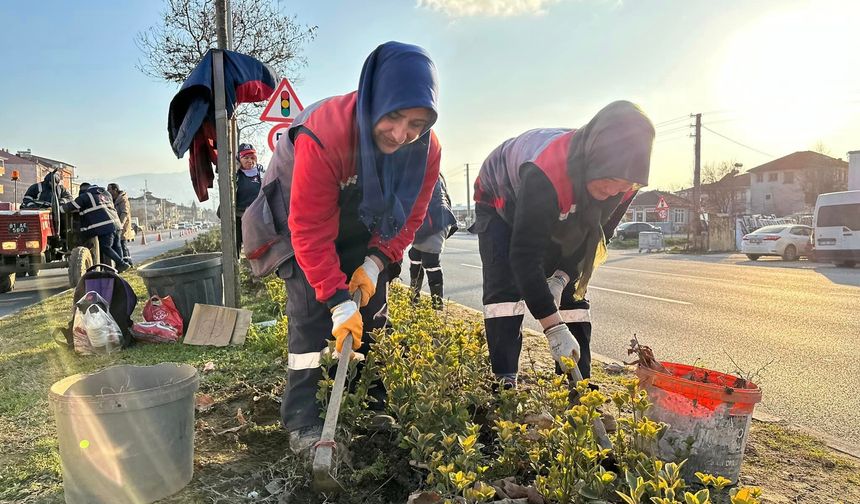 Düzce’yi kadınlar güzelleştiriyor