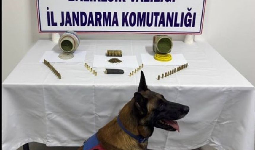 Balıkesir İl Jandarma Komutanlığı'ndan uyuşturucu operasyonu: 4 şüpheli gözaltına alındı