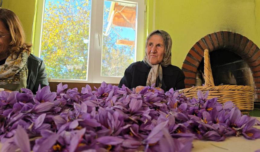 Cumhuriyet Bayramı tatili Safranbolu'ya yaradı