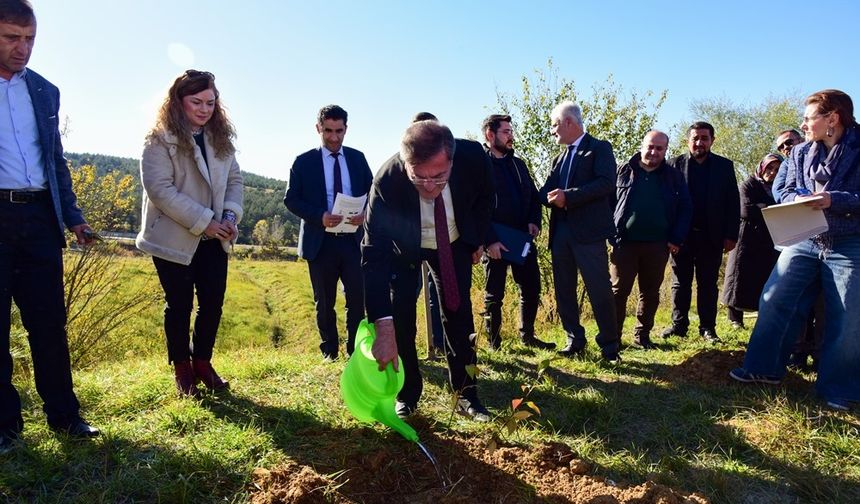 Kastamonu Üniversitesi’nde 100 fidan dikildi