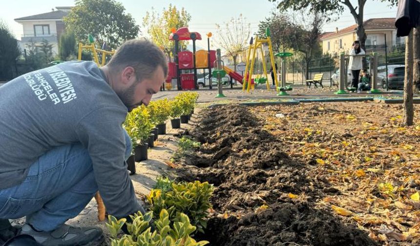 Serdivan'ın yeşil alanları güzelleşiyor