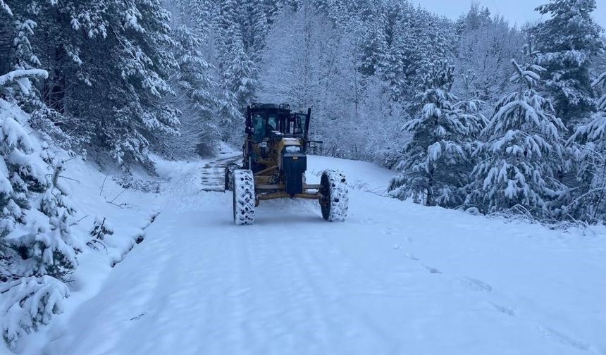 Düzce'de 17 köy yolu ulaşıma kapandı