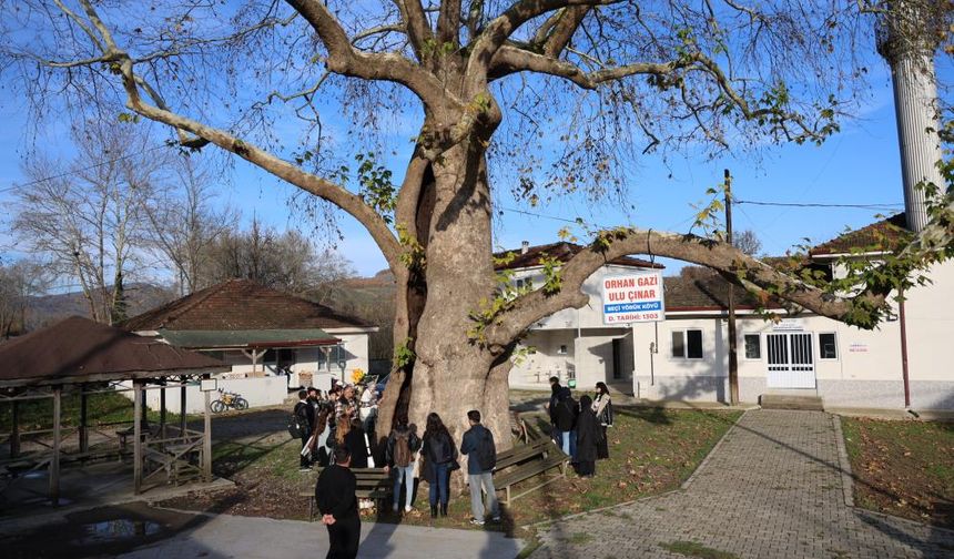 Doğanın tarihin izleri