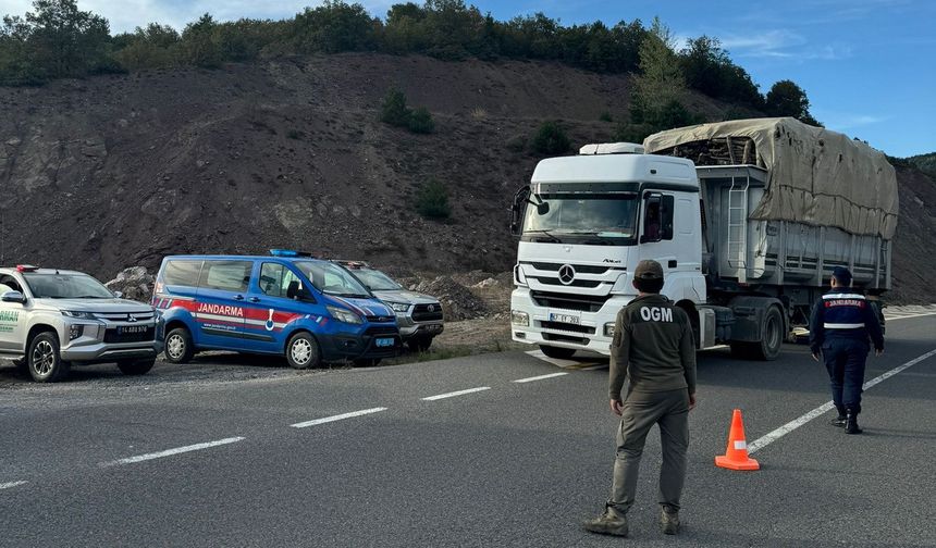 Kaçak orman emvali ile ilgili denetimler sürüyor