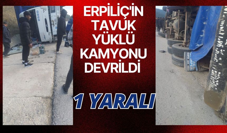 Erpiliç'in tavuk yüklü kamyonu devrildi: 1 yaralı