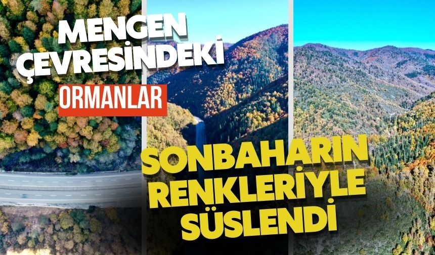 Mengen çevresindeki ormanlar sonbaharın renkleriyle süslendi