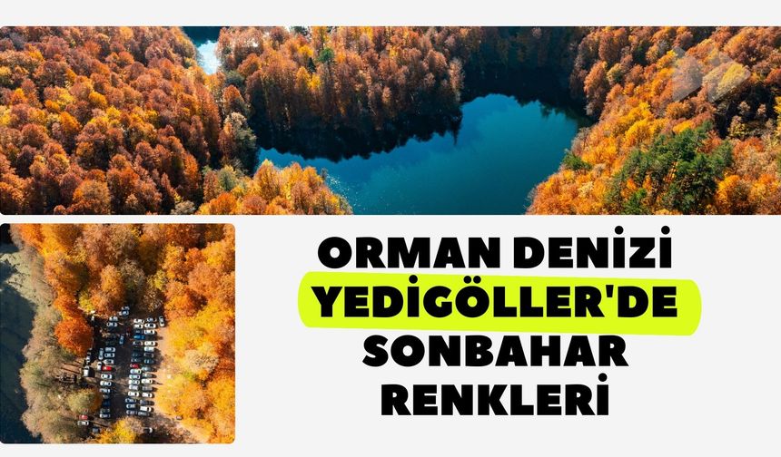 Orman denizi Yedigöller'de sonbahar renkleri