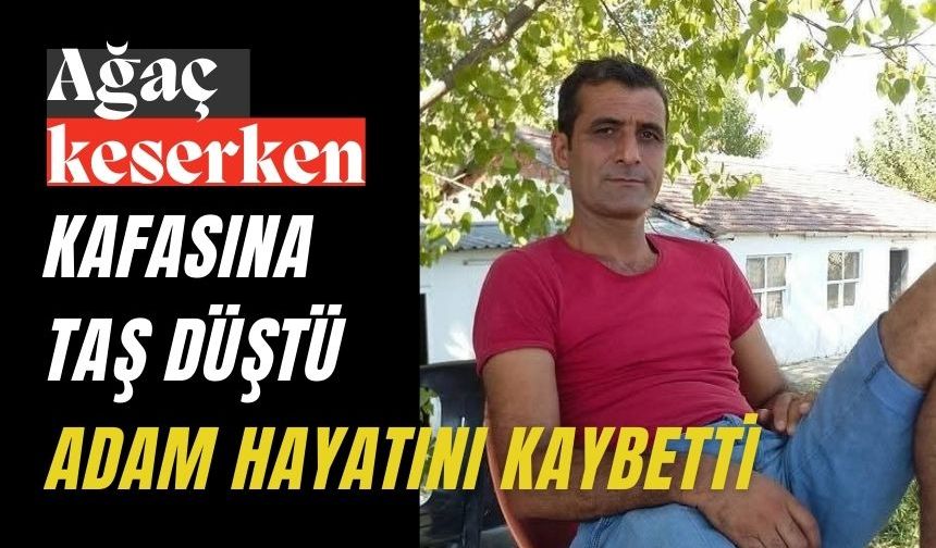 Ağaç keserken kafasına taş düşen adam hayatını kaybetti