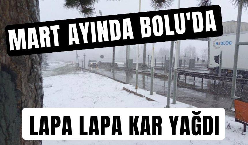 Mart ayında Bolu'da lapa lapa kar yağdı