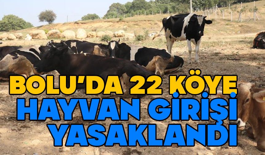 Bolu'da 22 köye hayvan girişi yasaklandı